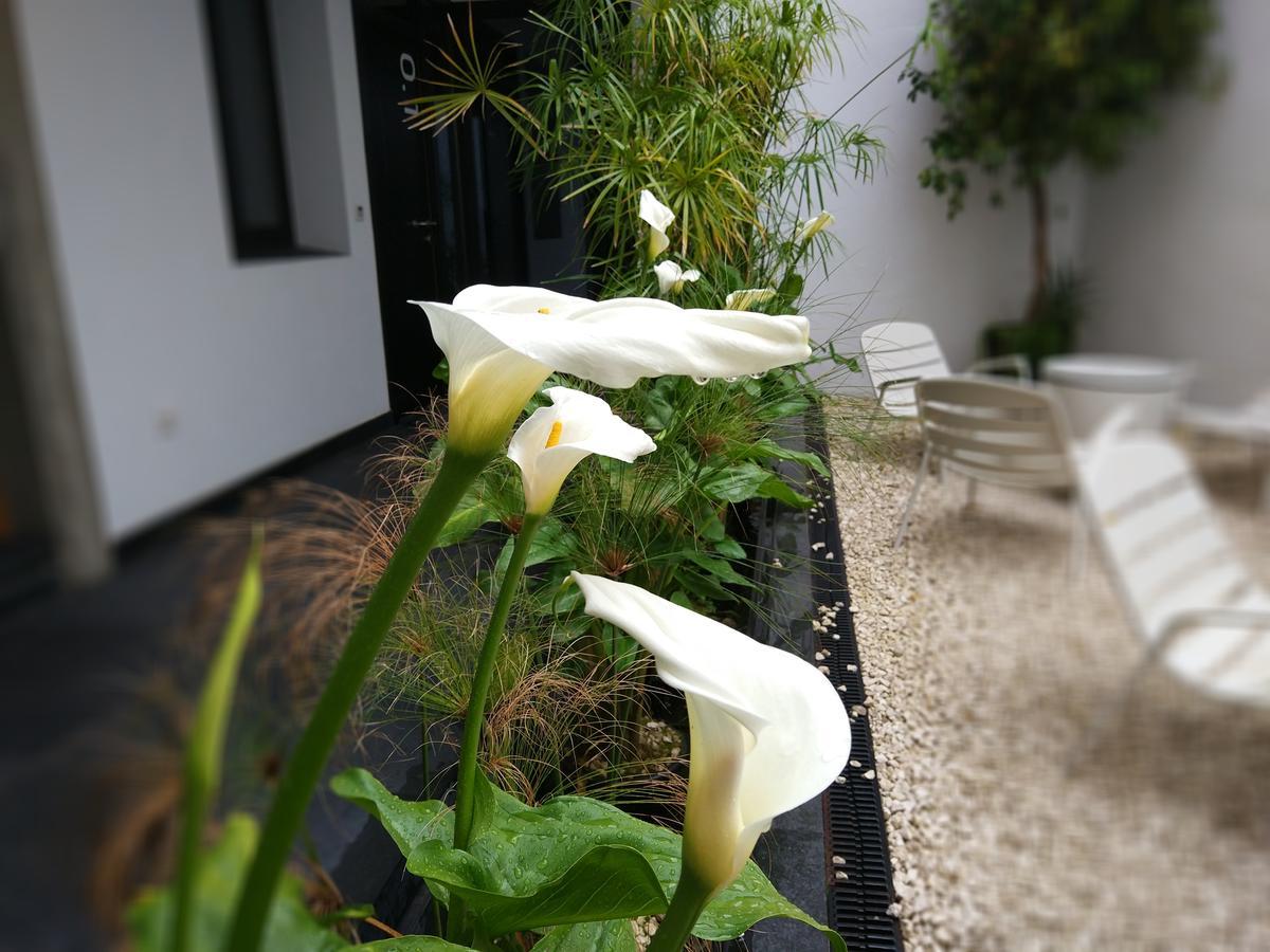 Apartamentos Cordoba Atrium Ngoại thất bức ảnh