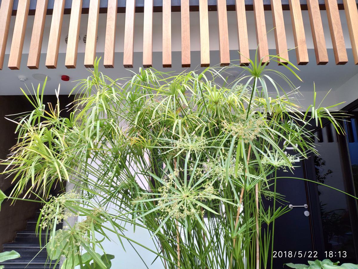 Apartamentos Cordoba Atrium Ngoại thất bức ảnh